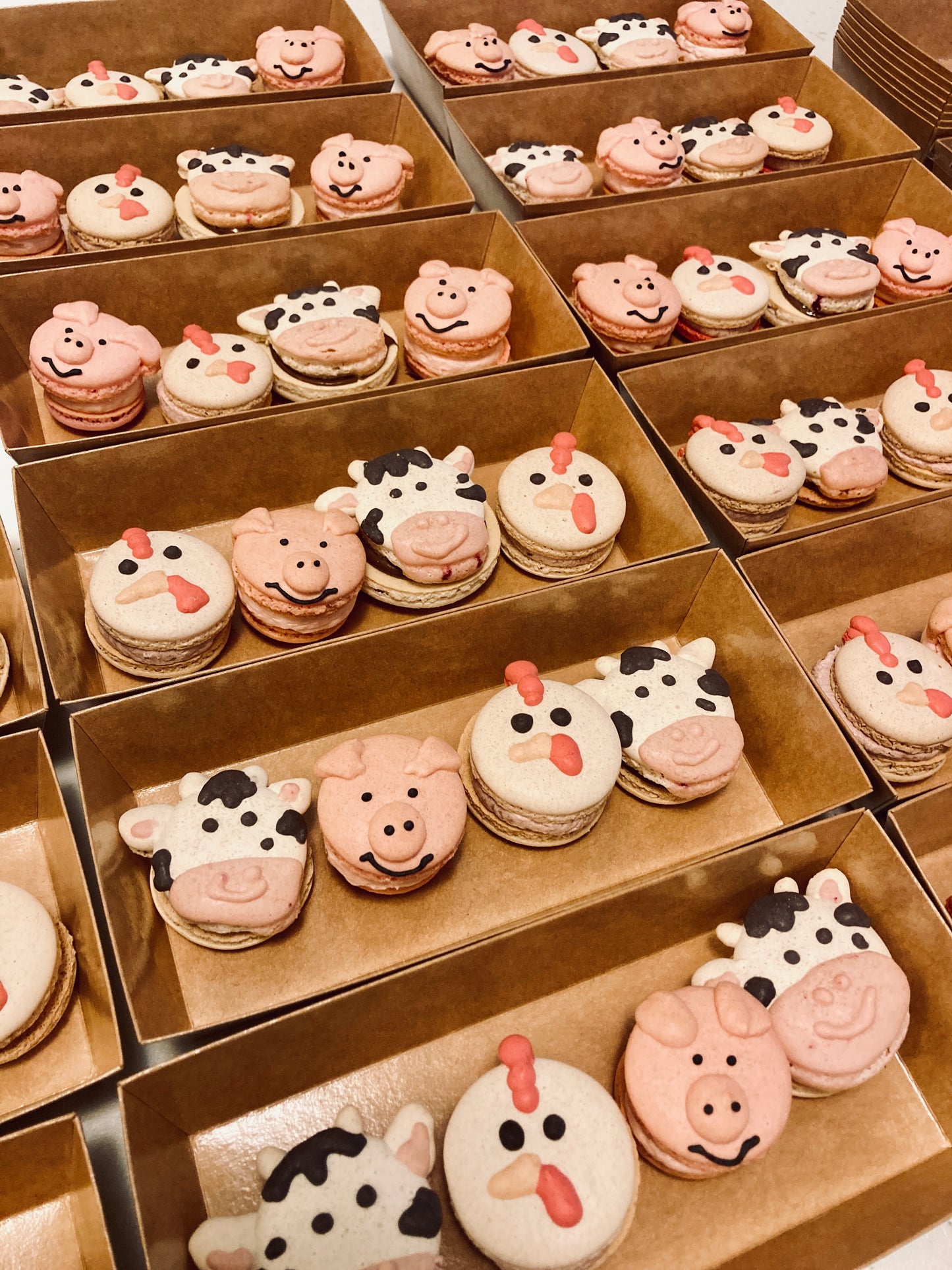 Custom Decorated Sugar Cookies